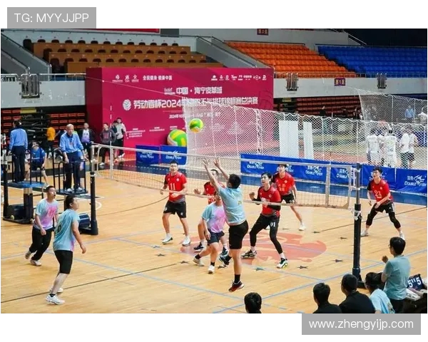 杭州排球队总决赛背后的奋斗故事与荣耀之路